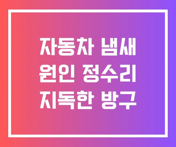 자동차 냄새 원인 정수리 지독한 방구