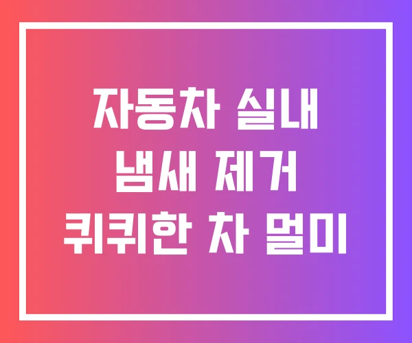 자동차 실내 냄새 제거 퀴퀴한 차 멀미