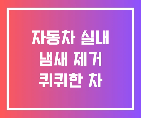 자동차 실내 냄새 제거 퀴퀴한 차