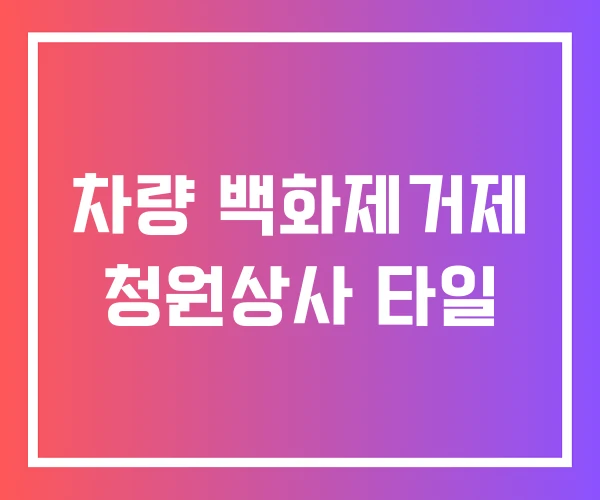 차량 백화제거제 청원상사 타일 차량 백화제거제 청원상사 타일