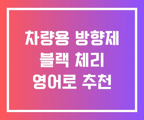 차량용 방향제 블랙 체리 영어로 추천 차량용 방향제 블랙 체리 영어로 추천