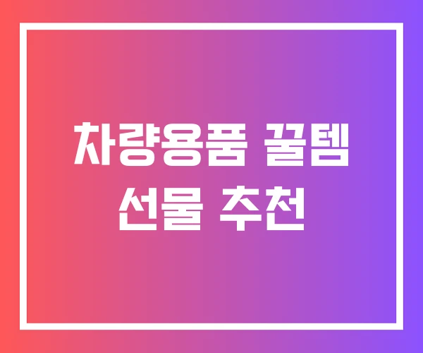 차량용품 꿀템 선물 추천