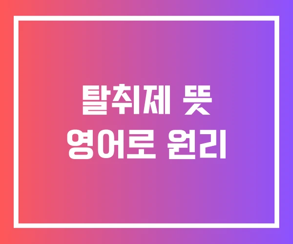 탈취제 뜻 영어로 원리 탈취제 뜻 영어로 원리