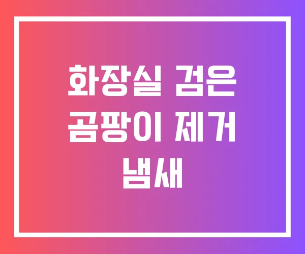 화장실 검은 곰팡이 제거 냄새 화장실 검은 곰팡이 제거 냄새
