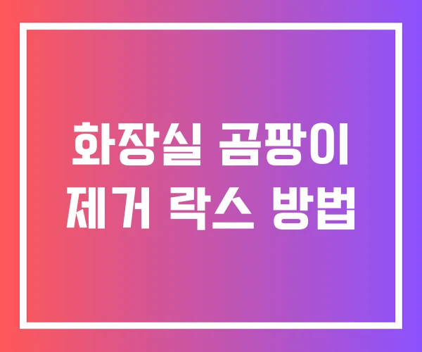 화장실 곰팡이 제거 락스 방법 화장실 곰팡이 제거 락스 방법