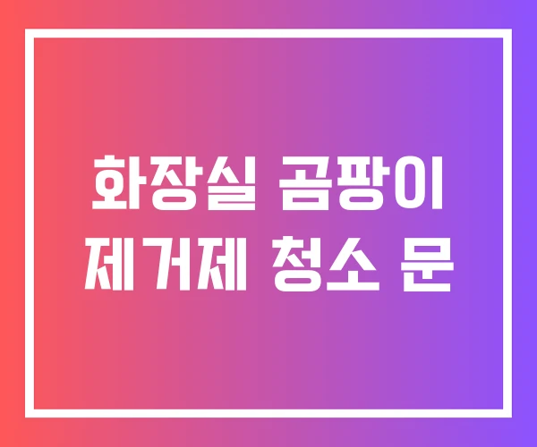 화장실 곰팡이 제거제 청소 문 화장실 곰팡이 제거제 청소 문