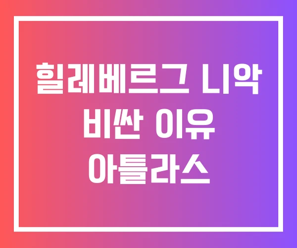 힐레베르그 니악 비싼 이유 아틀라스 힐레베르그 니악 비싼 이유 아틀라스
