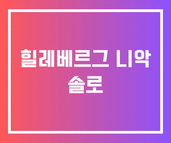 힐레베르그 니악 솔로